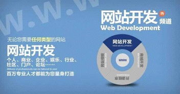 豐巢軟件解讀 企業建設網站與軟件服務的雙重價值